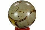 Polished Septarian Sphere - Madagascar #122905-1